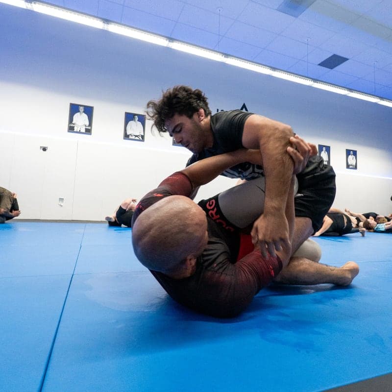 Adult Brazilian Jiu-Jitsu class at Island City Jiu-Jitsu
